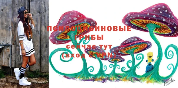 твердый Белоозёрский